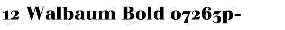 12 Walbaum Bold 07263p字体转换